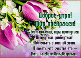 Светлая картинка доброе утро с тюльпанами. Добра всегда