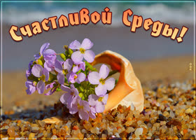 Светлая картинка со средой