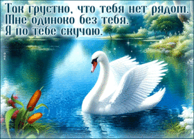 Так грустно, что тебя нет рядом. Мне одиноко без тебя. Я по тебе скучаю