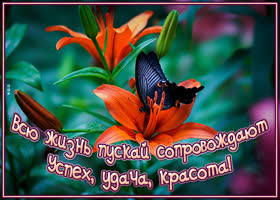 Тебе с пожеланием отличного настроения