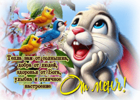 Тепла вам от солнышка, добра от людей, здоровья от Бога