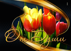 Теплая и радостная гиф-открытка с тюльпанами От души