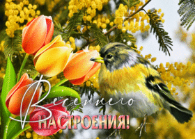 Теплая, уютная гиф-открытка Весеннего настроения