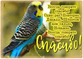 Трогательная гиф-открытка Всегда говорите спасибо!