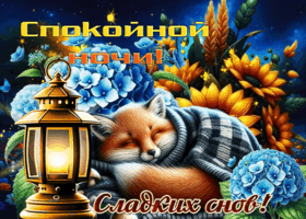 Трогательная гифка Спокойной ночи, сладких снов