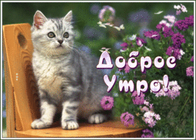 Цветущая открытка доброе утро