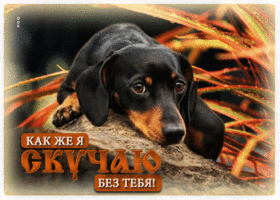 Творческая гиф-открытка Как же я скучаю без тебя