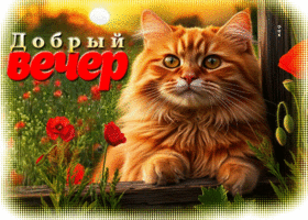 Творческая летняя гиф-открытка Добрый вечер