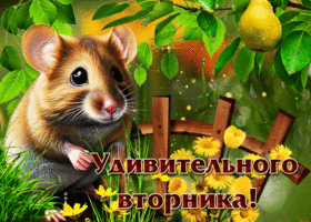 Творческая летняя гиф-открытка Удивительного вторника