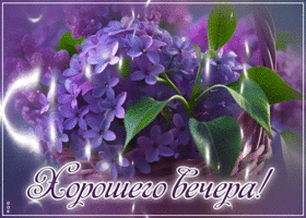 Творческая весенняя гиф-открытка Хорошего вечера