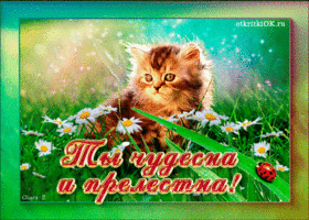 Ты чудесная и прелестная
