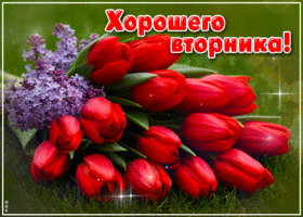 Тёплая весенняя открытка Хорошего вторника