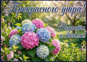Тёплого утра и яркого дня!