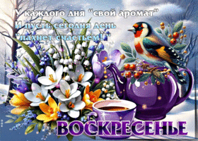 У каждого дня свой аромат и пусть сегодня день пахнет счастьем