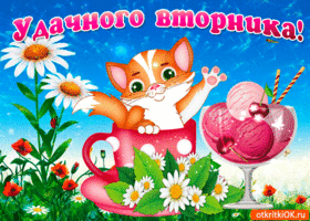 Удачного и солнечного вторника вам друзья