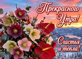 Удачного дня желаю тебе