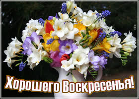 Удивительная картинка хорошего воскресенья с красивыми цветами