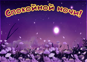 Удивительная  картинка спокойной ночи