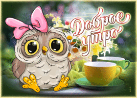 Удивительная открытка с совой, доброе утро