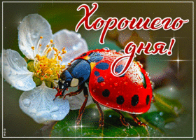 Удивительная, сказочная весенняя открытка Хорошего дня