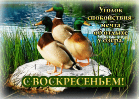 Уголок спокойствия - мечта об отдыхе у озера. С воскресеньем