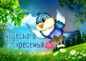 Улыбчивая открытка с птичкой Чудесного воскресенья