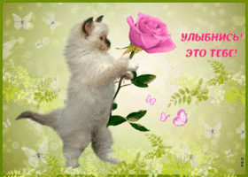 Улыбнись эта роза тебе
