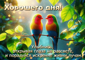 Улыбнись, открывая глаза на рассвете и порадуйся искренне жизни лучам