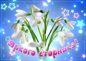 Умиротворяющая гиф-открытка с подснежниками Яркого вторника