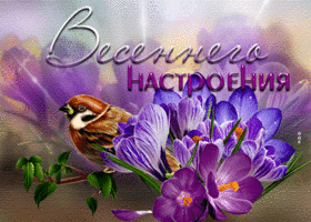 Уникальная открытка Весеннего настроения! С птичкой
