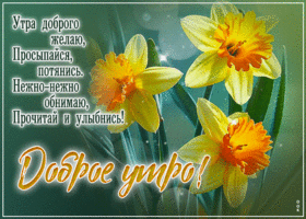 Утра доброго желаю, просыпайся, потянись