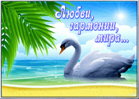 Уютная и умиротворяющая открытка Любви, гармонии, мира