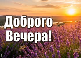 Уютного летнего вечера тебе!