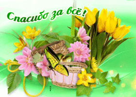 В знак моей признательности Спасибо за все