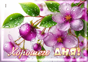 Вдохновенная, цветущая весенняя гиф-открытка Хорошего дня