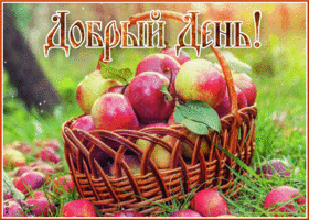 Вдохновляющая и креативная открытка с яблочками Добрый день