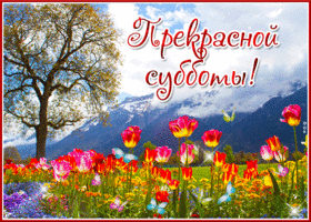 Вдохновляющая открытка Прекрасной субботы!