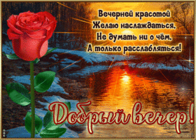 Вечерней красотой желаю наслаждаться, не думать ни о чем