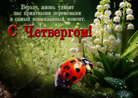 Верьте, жизнь удивит вас приятными переменами. С четвергом
