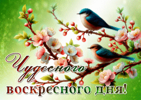 Веселая и весенняя открытка Чудесного воскресного дня