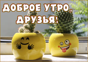 Веселая картинка с добрым утром друзьям