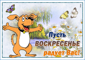 Веселая открытка воскресенье