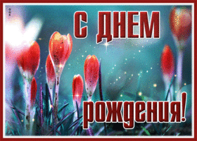 Весенняя и теплая открытка для девушки С Днем Рождения