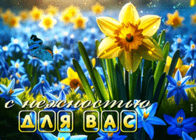 Весенняя и вдохновляющая гиф-открытка С нежностью для вас