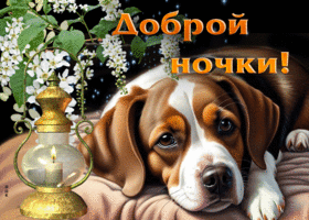 Весенняя искренняя гиф-открытка Доброй ночки