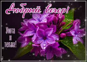 Весенняя открытка Добрый вечер! Уюта и тепла