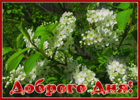 Весенняя открытка добрый день