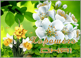 Весенняя гифка с цветами хорошего дня