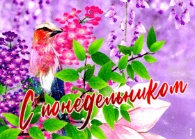 Весенняя гифка с птицей на ветке с понедельником