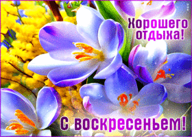 Весенняя притягательная гиф-открытка С воскресеньем! Хорошего отдыха